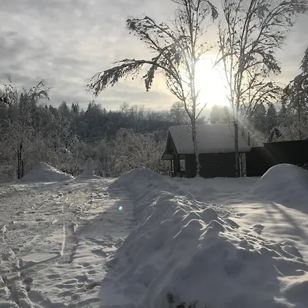 Apartment Vip рокита