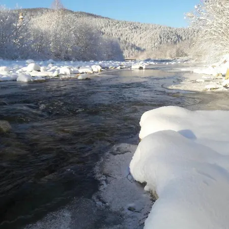 Apartment Vip рокита