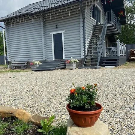 Vip рокита * Mykulychyn