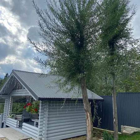 Vip рокита Apartment Mykulychyn