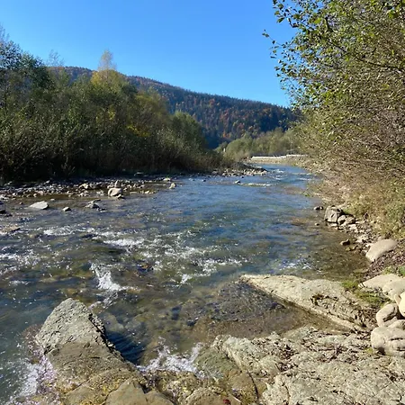 Vip рокита * Mykulychyn