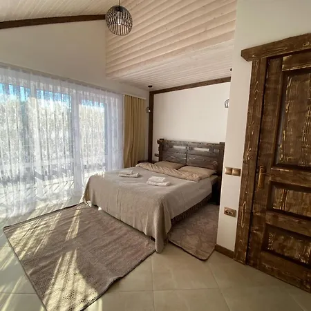 Vip рокита Mykulytschyn