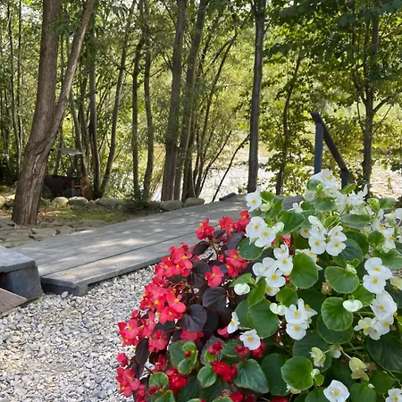 Apartment Vip рокита