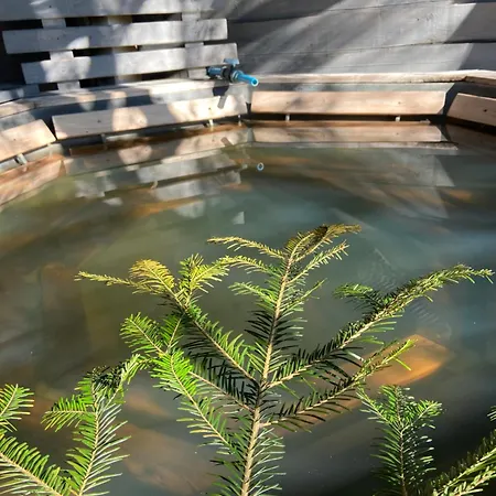 Vip рокита Apartment Mykulytschyn