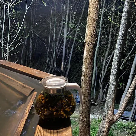 Apartment Vip рокита