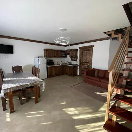 Vip рокита Apartment Mykulychyn