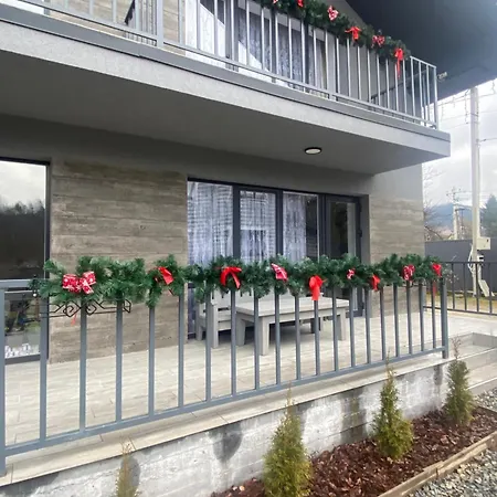 Vip рокита Mykulytschyn