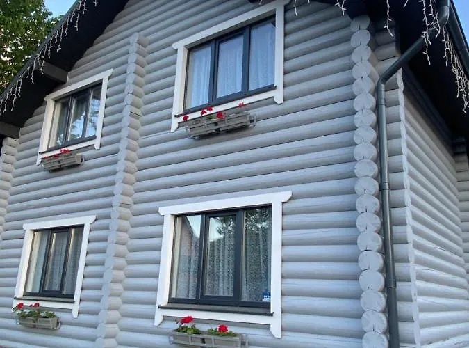 Vip рокита * Mykulychyn
