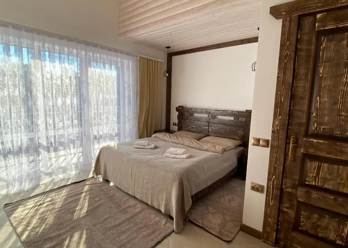 Vip рокита Mykulychyn